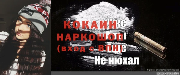 амф Дмитриев