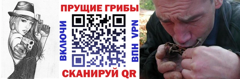 Псилоцибиновые грибы прущие грибы  где купить наркоту  Опочка 