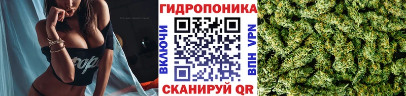 купить наркотик  Опочка  кракен   Каннабис Bruce Banner 